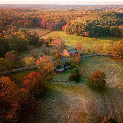 نصفِ دنیا مجرمن و نصف دیگه شریک جرم نظام سرمایه داری هم رحم